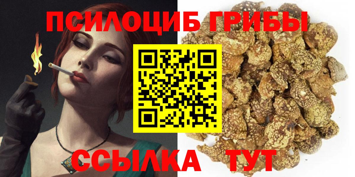 Галлюциногенные грибы Psilocybe Конаково