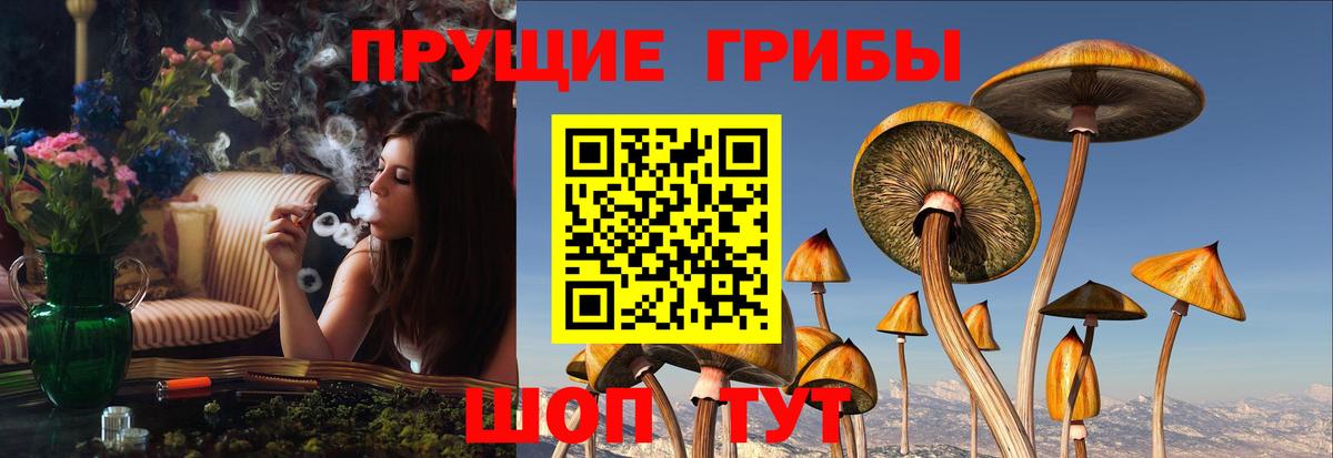 Псилоцибиновые грибы GOLDEN TEACHER  Псилоцибиновые грибы прущие грибы  Вход с VPN  Конаково 